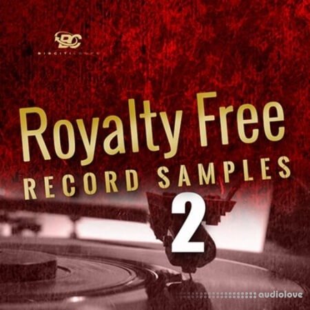Big Citi Loops Royalty-Free Record Samples Part 2