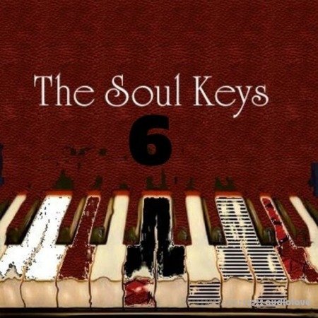 Big Citi Loops The Soul Keys 6