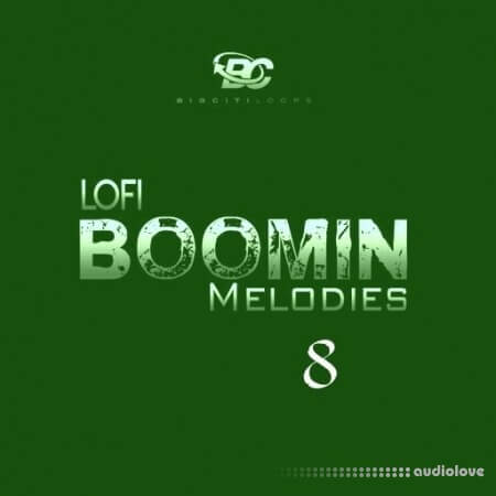 Big Citi Loops Lofi Boomin Melodies 8