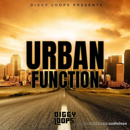 Big Citi Loops Urban Function