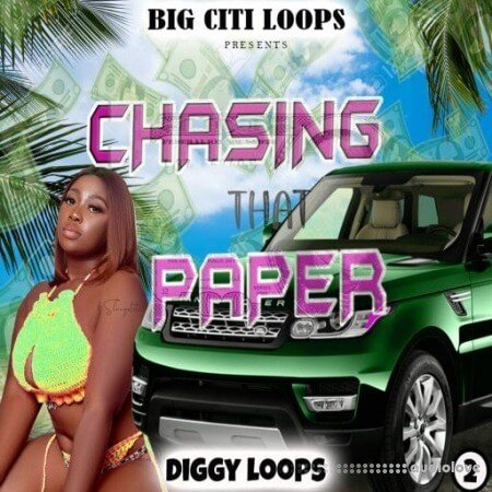 Diggy Loops Chasing That Paper 2