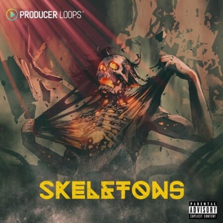 Producer Loops Skeletons