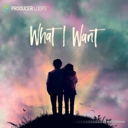 Producer Loops What I Want