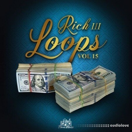 DiyMusicBiz Rich Loops Vol 15
