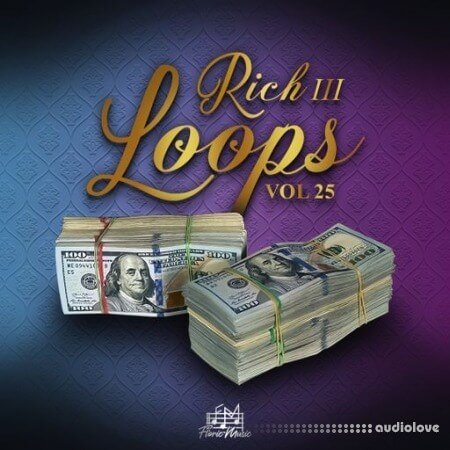 DiyMusicBiz Rich Loops Vol 25