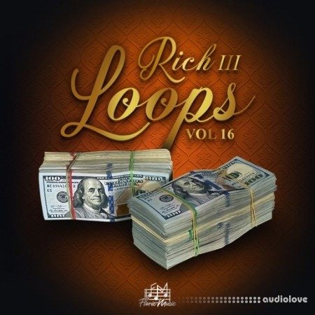 DiyMusicBiz Rich Loops Vol 16