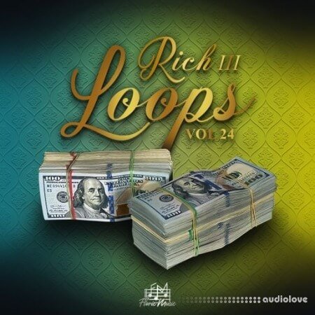 DiyMusicBiz Rich Loops Vol 24