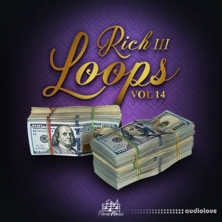 DiyMusicBiz Rich Loops Vol 14