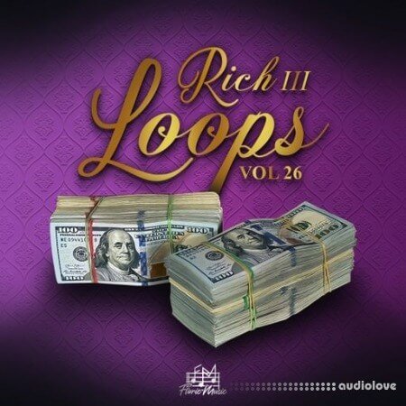 DiyMusicBiz Rich Loops Vol 26