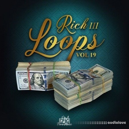DiyMusicBiz Rich Loops Vol 19