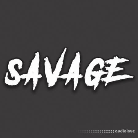 DiyMusicBiz Savage