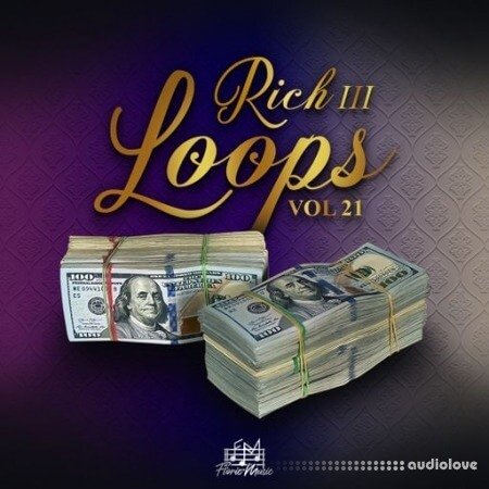 DiyMusicBiz Rich Loops Vol 21