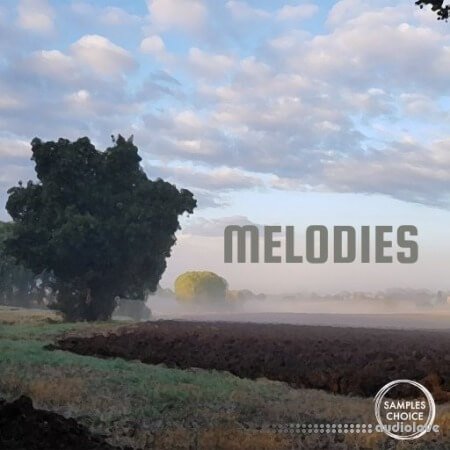 Samples Choice Melodies