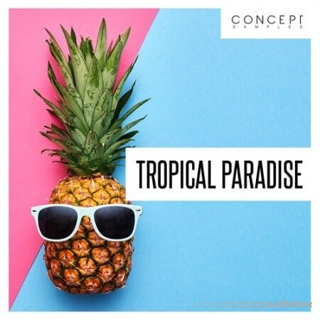 Concept Samples Tropical Paradise