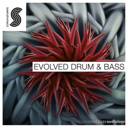 Samplephonics Evolved Drum and Bass MULTiFORMAT