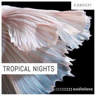 Concept Samples Tropical Nights