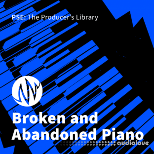 PSE: The Producers Library Broken and Abandoned Piano