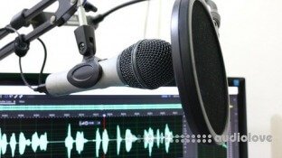 Udemy Professional Podcast Editing