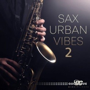 Big Citi Loops Sax Urban Vibes 2