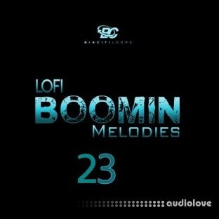 Big Citi Loops Lofi Boomin Melodies 23