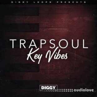 Diggy Loops Trap Soul Key Vibes
