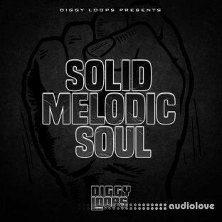 Big Citi Loops Solid Melodic Soul