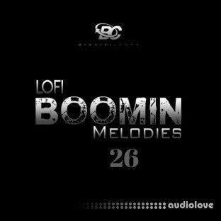 Big Citi Loops Lofi Boomin Melodies 26