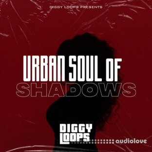 Big Citi Loops Urban Soul Of Shadows