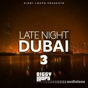 Big Citi Loops Late Night Dubai 3