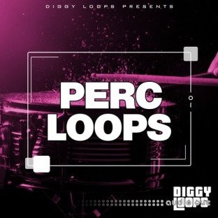 Big Citi Loops Perc Loops