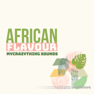 Mycrazything Records Afro Flavour