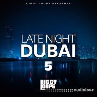 Big Citi Loops Late Night Dubai 5