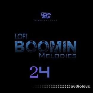 Big Citi Loops Lofi Boomin Melodies 24