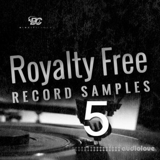 Big Citi Loops Royalty-Free Record Samples Part 5