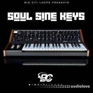 Big Citi Loops Soul Sine Keys