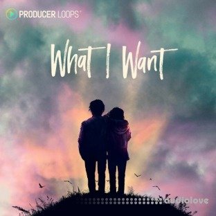 Producer Loops What I Want