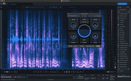 iZotope RX 10 Audio Editor Advanced v10.5.0 WiN