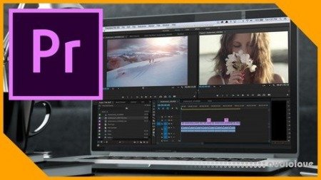 Udemy Introduction to Adobe Premiere Pro CC Master it in a Day TUTORiAL