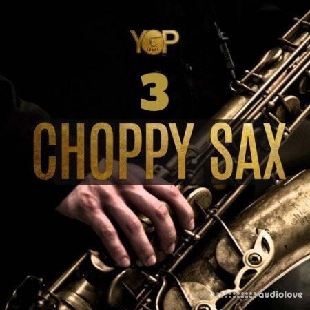 Big Citi Loops Choppy Sax 3