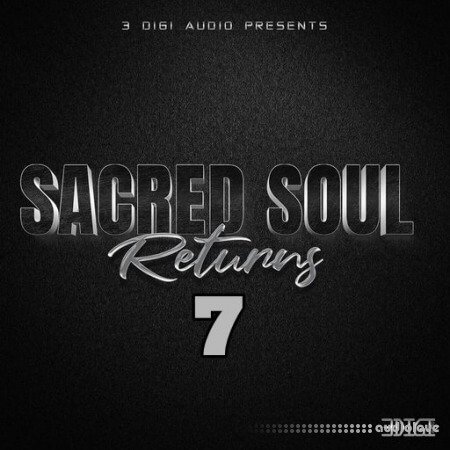 Innovative Samples Sacred Soul Returns 7