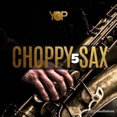Big Citi Loops Choppy Sax 5