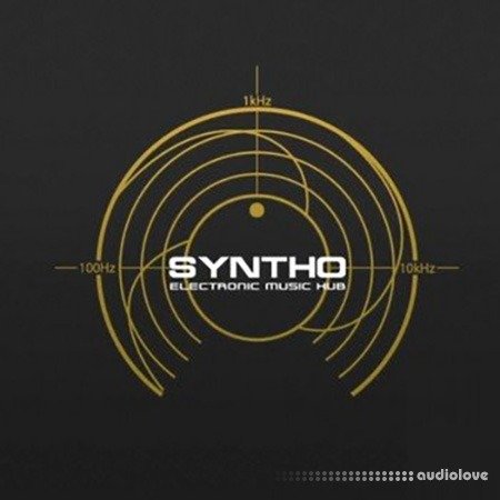 Syntho Hub Vocal Recording and Mixing