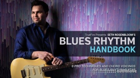 Truefire Seth Rosenbloom's Blues Rhythm Handbook