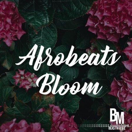 HOOKSHOW Afrobeats Bloom WAV