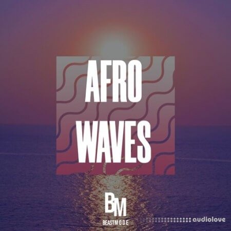 HOOKSHOW Afro Waves WAV