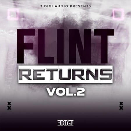 3 Digi Audio Flint Returns Vol.2