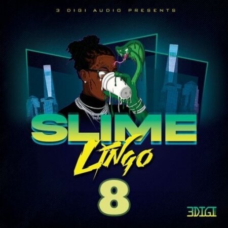 3 Digi Audio Slime Lingo 8