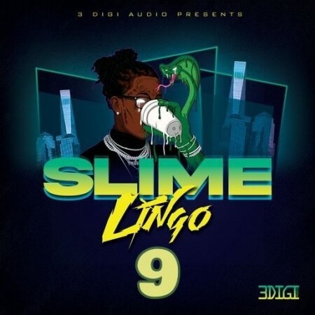 3 Digi Audio Slime Lingo 9