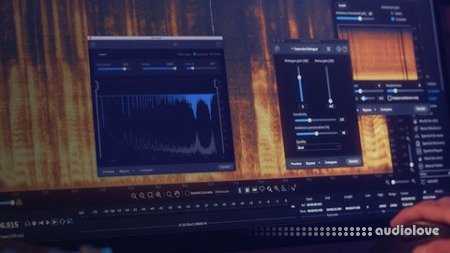 Udemy iZotope RX 9: From 0 to Hero TUTORiAL