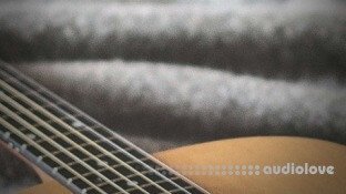 Udemy Guitar Basics For Total Beginners